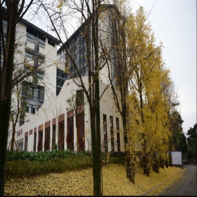 軟瓷行業蓬勃發展，更加廣闊的布局